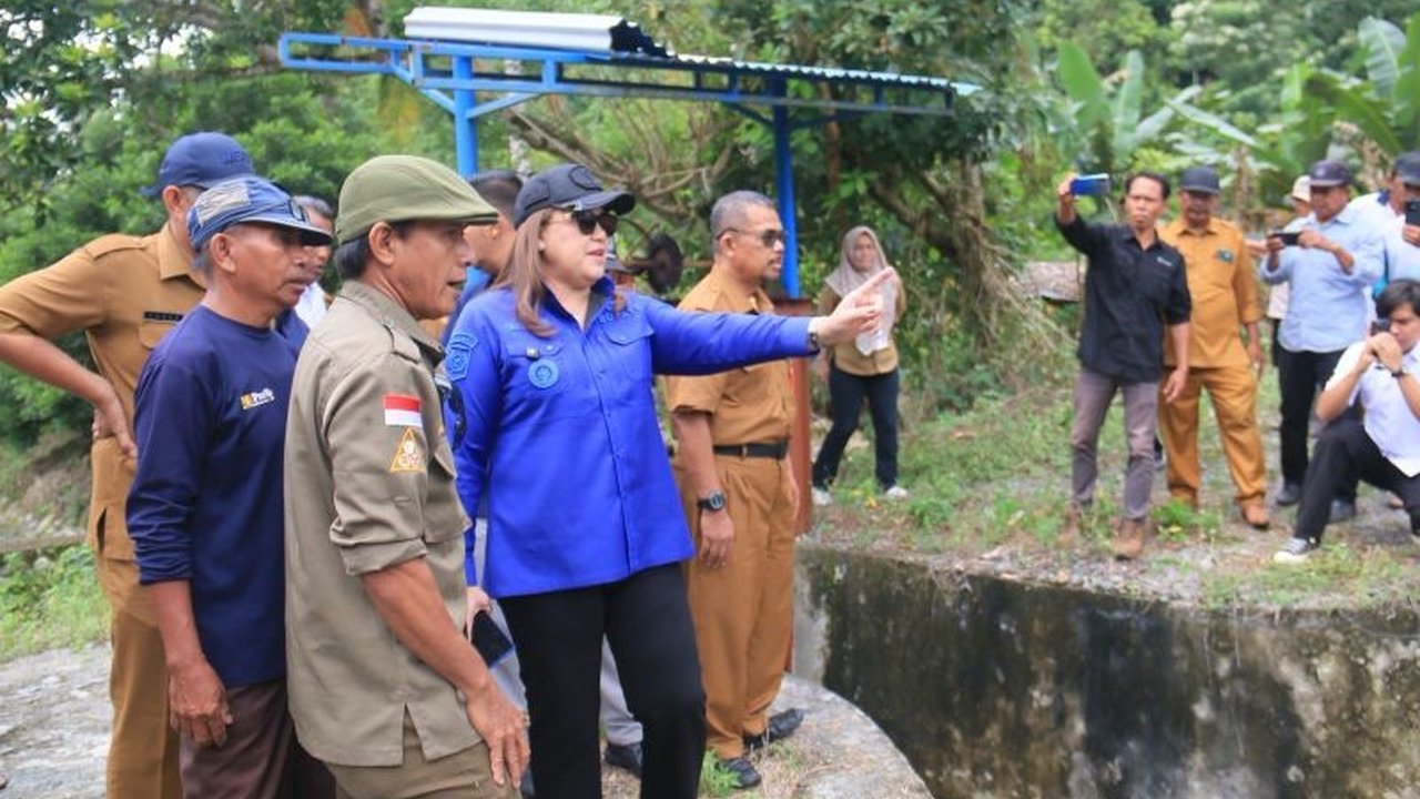 Pemkab Donggala serius perkuat pertanian Donggala untuk ketahanan pangan. Simak bagaimana mereka berencana menambah 800 hektare sawah baru dan mendukung swasembada nasional!