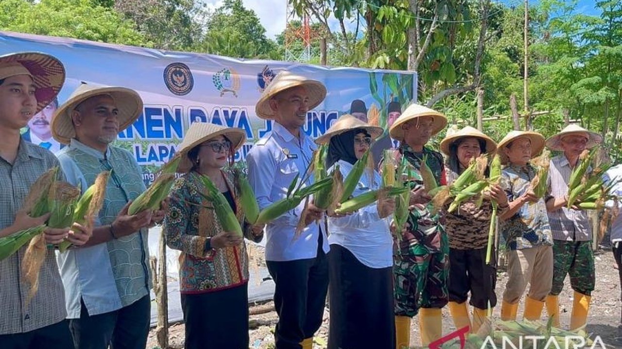Lapas Wahai di Maluku sukses besar dengan Panen Jagung Lapas Wahai sebanyak 1,2 ton, membuktikan keberhasilan pembinaan warga binaan sekaligus mendukung ketahanan pangan daerah.