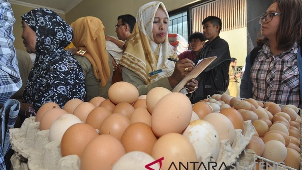 Pemkot Palu melakukan sidak ketersediaan Harga Telur dan Daging Ayam di pasaran, menemukan penyebab kenaikan harga yang meresahkan masyarakat dan program makan bergizi gratis.