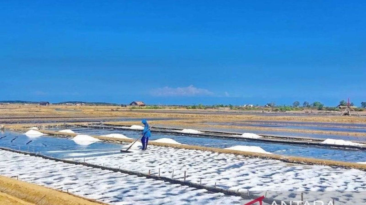 Pemerintah Provinsi Jawa Timur membantu petambak garam Bangkalan mengadopsi teknologi geomembran, mempercepat panen dan meningkatkan kualitas garam. Simak manfaatnya!