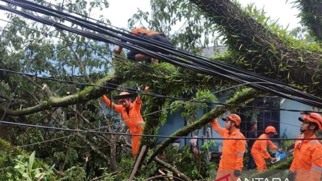 Cuaca ekstrem memicu peringatan waspada potensi pohon tumbang Banjarmasin. DLH Kota Banjarmasin bergerak cepat melakukan pemangkasan dan pemantauan demi keselamatan warga.