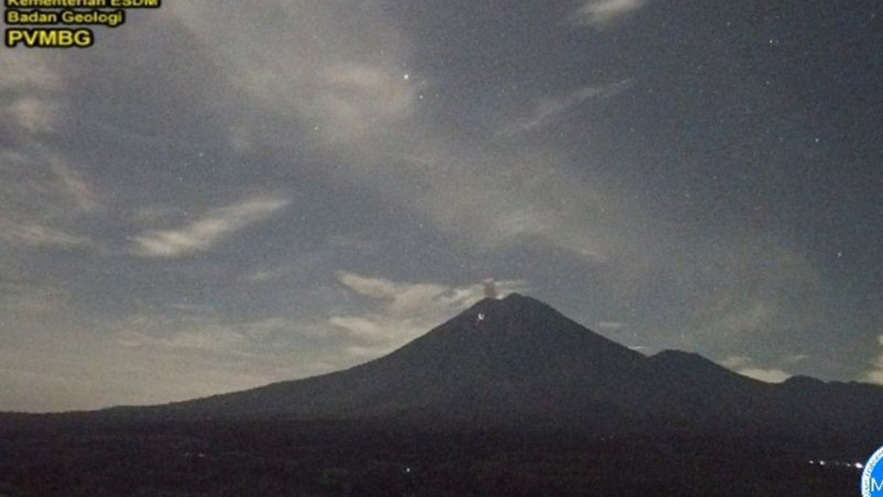 Gunung Semeru Erupsi kembali dengan tinggi letusan 700 meter di atas puncak. Simak detail aktivitas vulkanik terkini dan rekomendasi PVMBG untuk keselamatan warga sekitar.