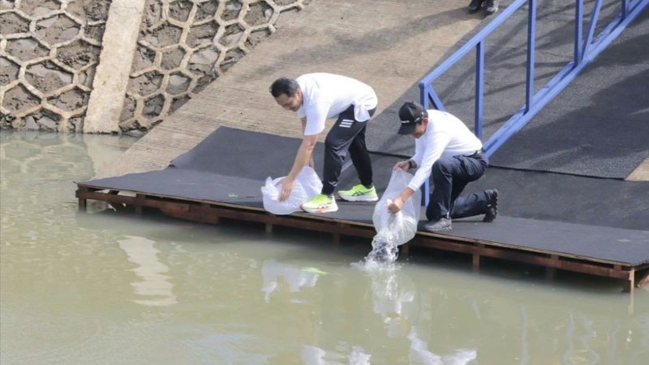 MIND ID tegaskan komitmen ESG melalui aksi nyata konservasi Sungai Cipinang di Jakarta Timur, menanam pohon dan melepas ikan untuk keberlanjutan ekosistem. Apa dampak positifnya?