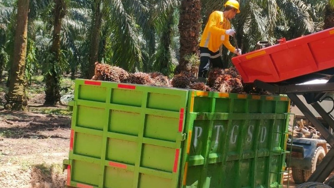 PT Astra Agro Lestari Tbk berkomitmen penuh pada **ketertelusuran rantai pasok sawit** hingga ke petani melalui inovasi digital. Penasaran bagaimana mereka mewujudkannya?