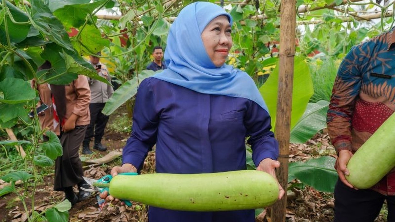 Gubernur Khofifah memuji SMAN 1 Dampit sebagai teladan Ketahanan Pangan Berbasis Sekolah melalui program SIKAP yang mengubah lahan tak produktif jadi kebun edukatif. Simak dampaknya!