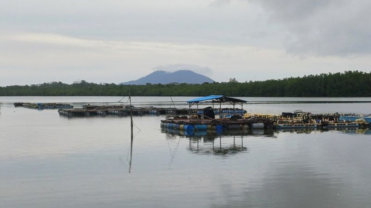 Pemprov Kepri gencar menarik investasi Tiongkok di berbagai sektor strategis, dari migas hingga pariwisata, demi memperkuat ekonomi daerah. Akankah upaya ini berhasil?