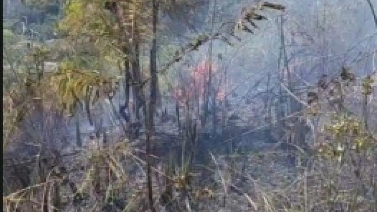 Pusdalops Sumut mencatat satu hektare hutan lindung terdampak karhutla Padangsidimpuan di Gunung Setan. Bagaimana upaya penanganan bencana ini agar api tak kembali menyala?