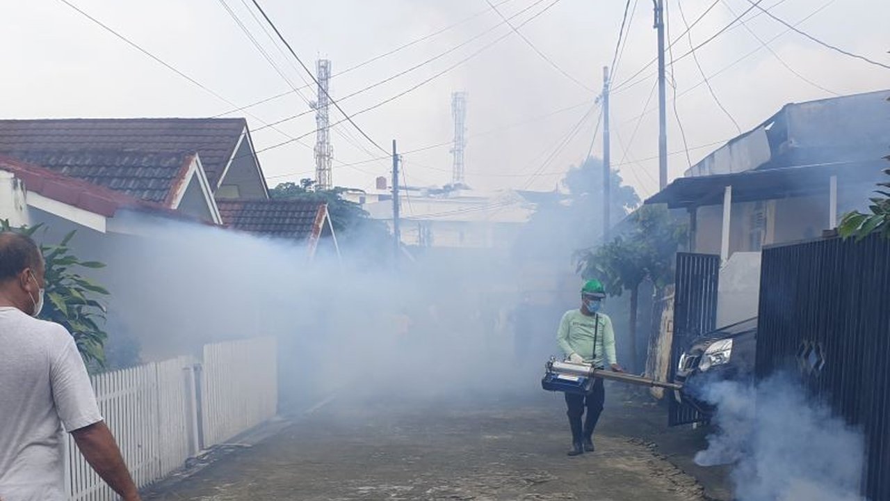 Pemerintah Kota Palembang mengimbau warganya untuk serius antisipasi DBD saat musim hujan 2025, mengingat 500 kasus telah tercatat. Simak langkah pencegahannya!