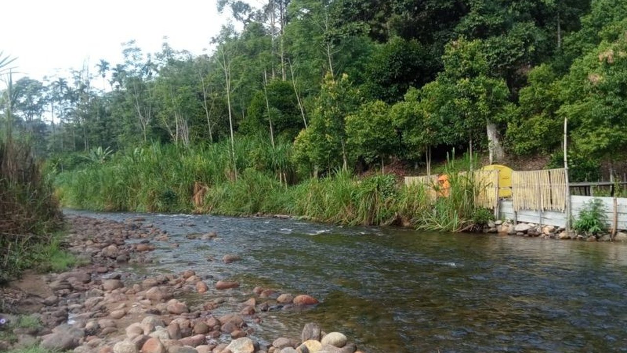 Sarolangun Jambi mengusulkan sembilan hutan adat baru seluas 979 hektare. Proses verifikasi teknis telah dilakukan, menandai komitmen terhadap kelestarian Hutan Adat Sarolangun dan pengakuan masyarakat hukum adat.