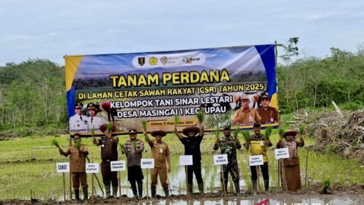 Kelompok Tani Sinar Lestari di Tabalong sukses tanam padi perdana melalui Program Cetak Sawah Rakyat di lahan tidur, upaya vital dukung ketahanan pangan nasional.