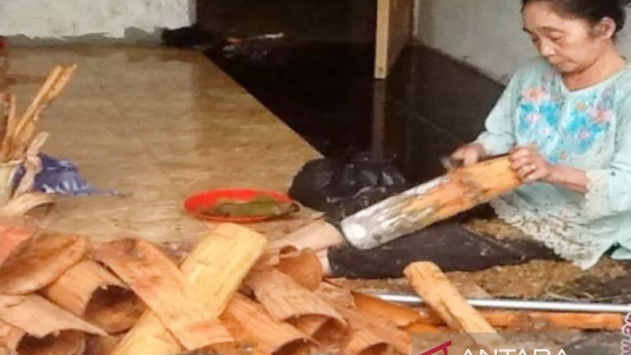 Setelah meraih sertifikat Indikasi Geografis (IG), Kemenkum Kalsel terus berupaya mengoptimalkan pengembangan kayu manis Loksado di HSS. Simak strategi perluasan pasarnya.