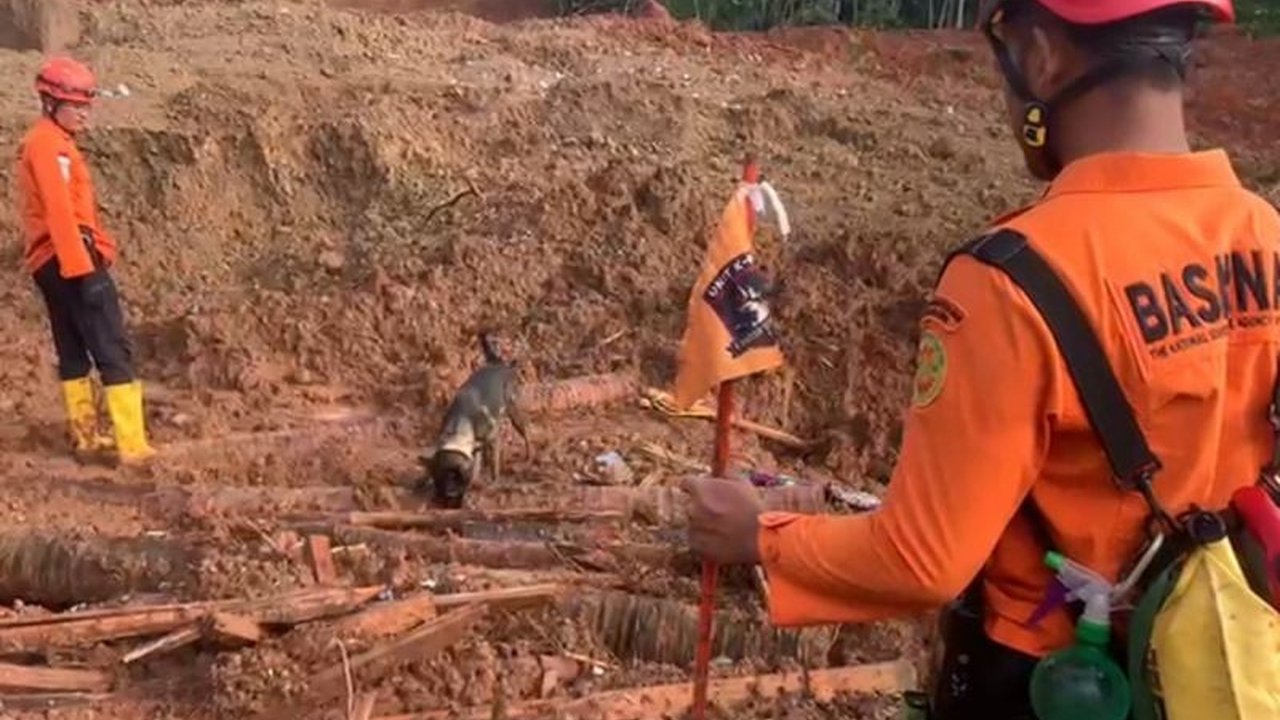 Tim SAR gabungan terus mengintensifkan operasi pencarian korban longsor di Cilacap dengan mengerahkan sembilan anjing pelacak dan alat berat, berupaya menemukan 20 warga yang masih tertimbun.
