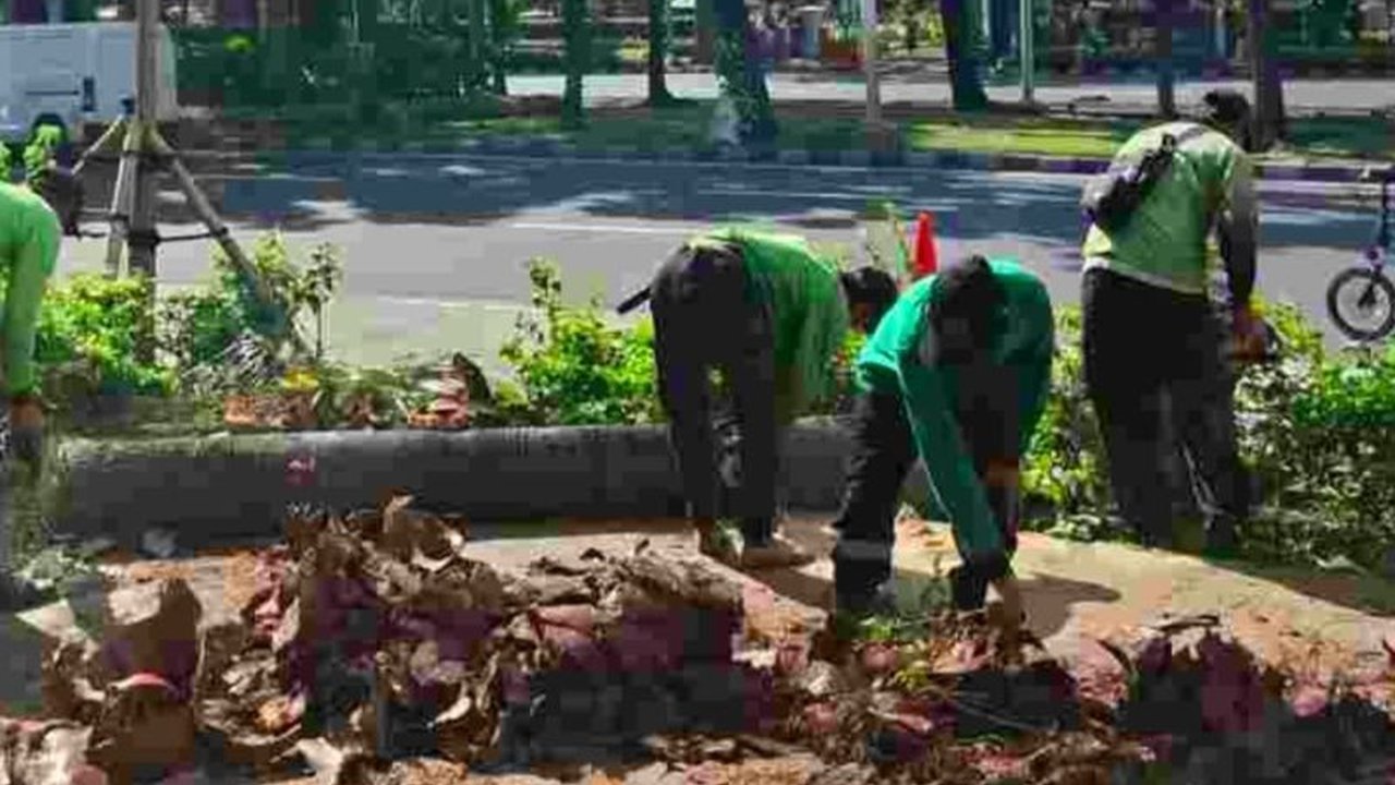 Dinas Pertamanan dan Hutan Kota DKI Jakarta intensifkan pemangkasan pohon di berbagai lokasi guna antisipasi cuaca ekstrem dan potensi pohon tumbang.