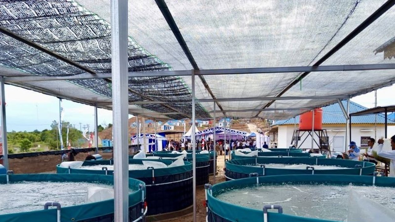 Dinas Perikanan Batam memperkenalkan budidaya ikan sistem bioflok sebagai mata pencarian alternatif bagi nelayan pesisir, dengan 137 unit bantuan yang siap didistribusikan. Program Budidaya Bioflok Batam ini diharapkan meningkatkan ekonomi lokal.