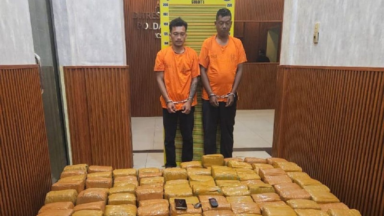 Polda Sumut terus mendalami kasus penangkapan dua kurir ganja 255 Kg asal Aceh. Penyelidikan intensif berlanjut untuk mengungkap dalang di balik peredaran narkotika ini.
