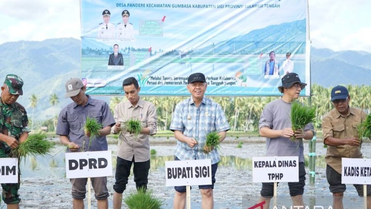 Pemerintah Kabupaten Sigi memulai penanaman padi seluas 816 hektare di wilayah Gumbasa untuk mempercepat penguatan Swasembada Pangan Sigi dan ketahanan daerah.