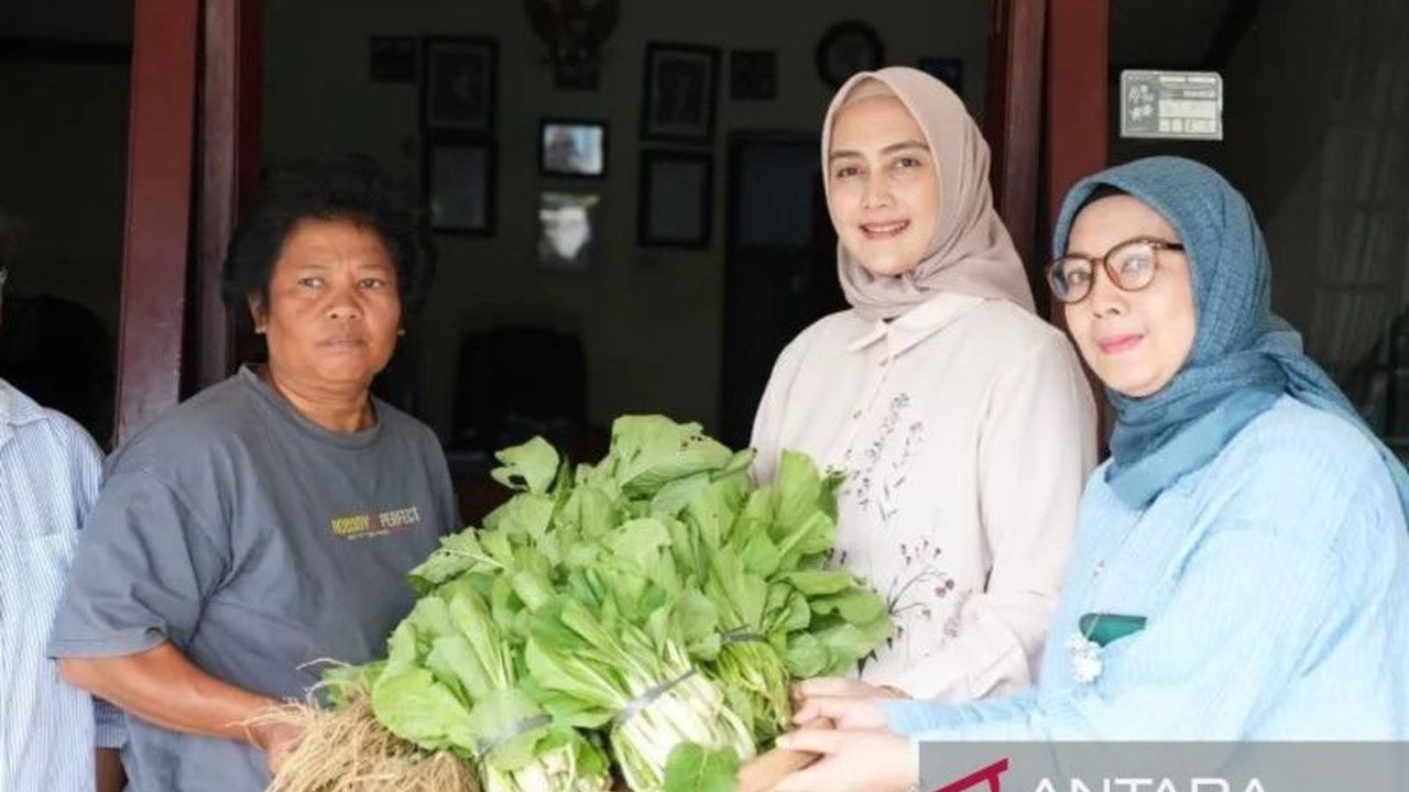 TP PKK Babel sukses mengembangkan kebun digital percontohan di Pangkalpinang, berkat kolaborasi dengan Bank Indonesia dan Dinas Pertanian, guna meningkatkan ketahanan pangan serta pendapatan keluarga.