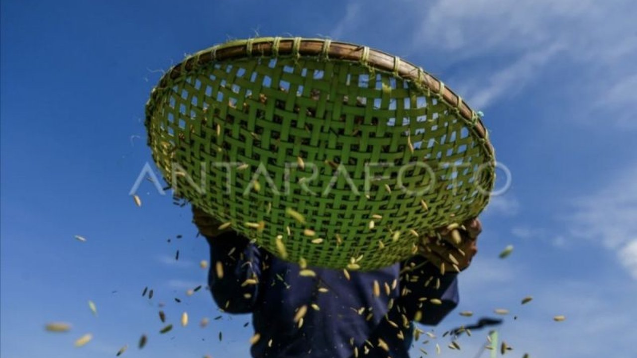 Kabupaten Kotawaringin Timur (Kotim) serius siapkan 2,6 hektare lahan di Desa Lampuyang untuk Pembangunan Gudang Beras Modern dan Infrastruktur Pasca Panen (IPP) guna mendukung swasembada pangan.