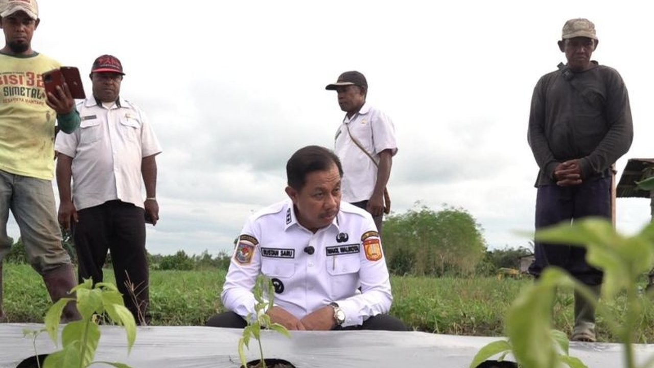 Pemerintah Kota Jayapura berkolaborasi dengan Universitas Hasanuddin Makassar untuk memperkuat Ketahanan Pangan Jayapura, fokus pada pengembangan sektor pertanian dan perikanan lokal, diharapkan meningkatkan kemandirian ekonomi masyarakat.