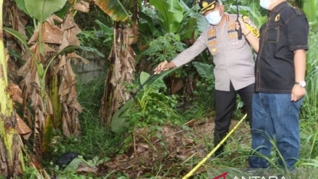 Polresta Tangerang tengah menyelidiki kasus penemuan mayat tanpa identitas di kebun pisang Cikupa. Warga mencium aroma menyengat sebelum menemukan jasad tersebut, memicu penyelidikan intensif.