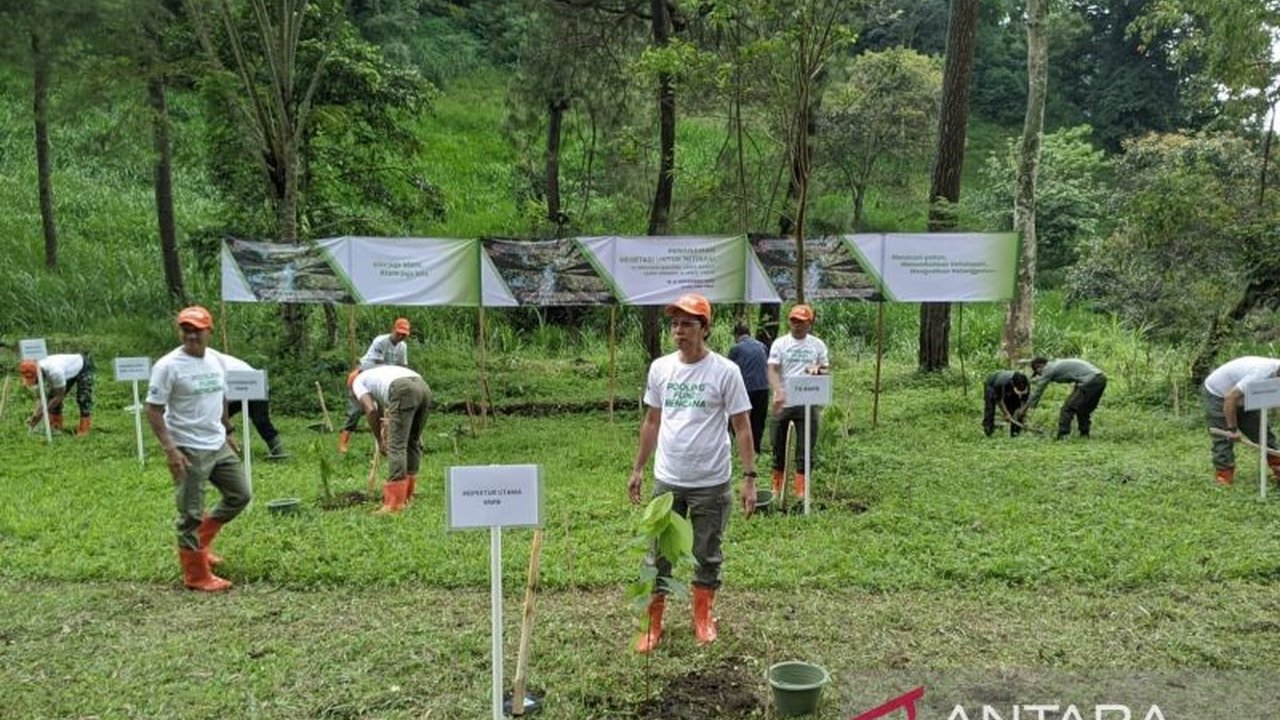 Badan Nasional Penanggulangan Bencana (BNPB) gencar melakukan mitigasi bencana alam melalui penanaman vegetasi di Jawa Timur, sebuah langkah strategis yang didukung oleh Pooling Fund Bencana (PFB) untuk mengurangi risiko hidrometeorologi dan mempercepat p