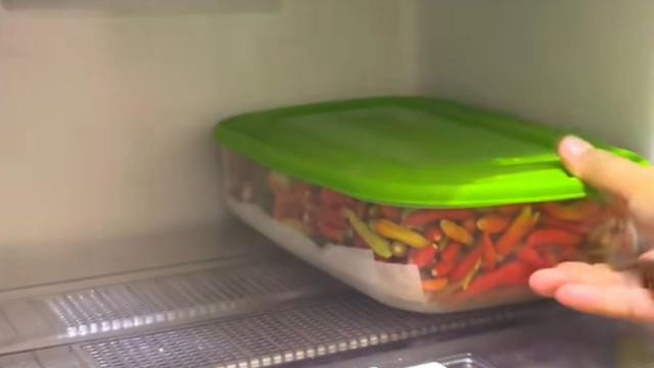 Tips Menyimpan Cabai di Kulkas. (TikTok/Eka Laksmita).