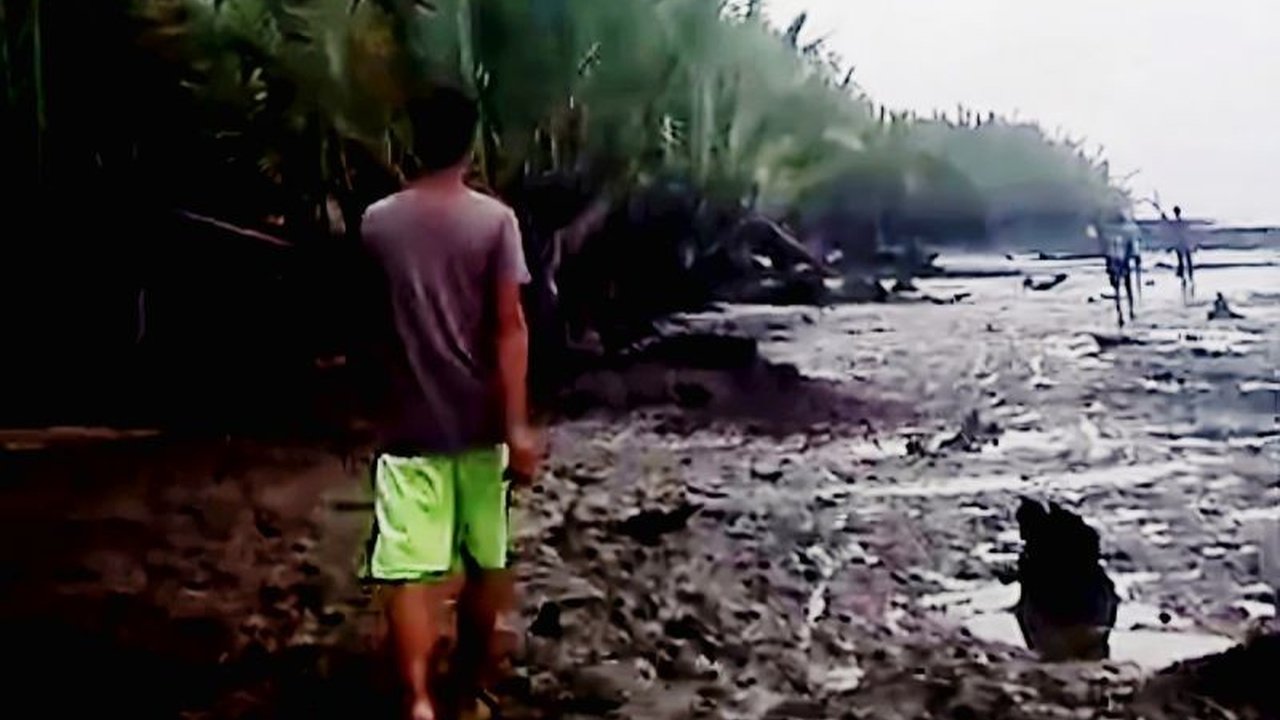 Seorang warga berusia 63 tahun di Kotawaringin Timur diduga hilang diterkam buaya saat mencari udang di Sungai Rangkang. Tim gabungan terus mencari keberadaan korban yang hilang ini.