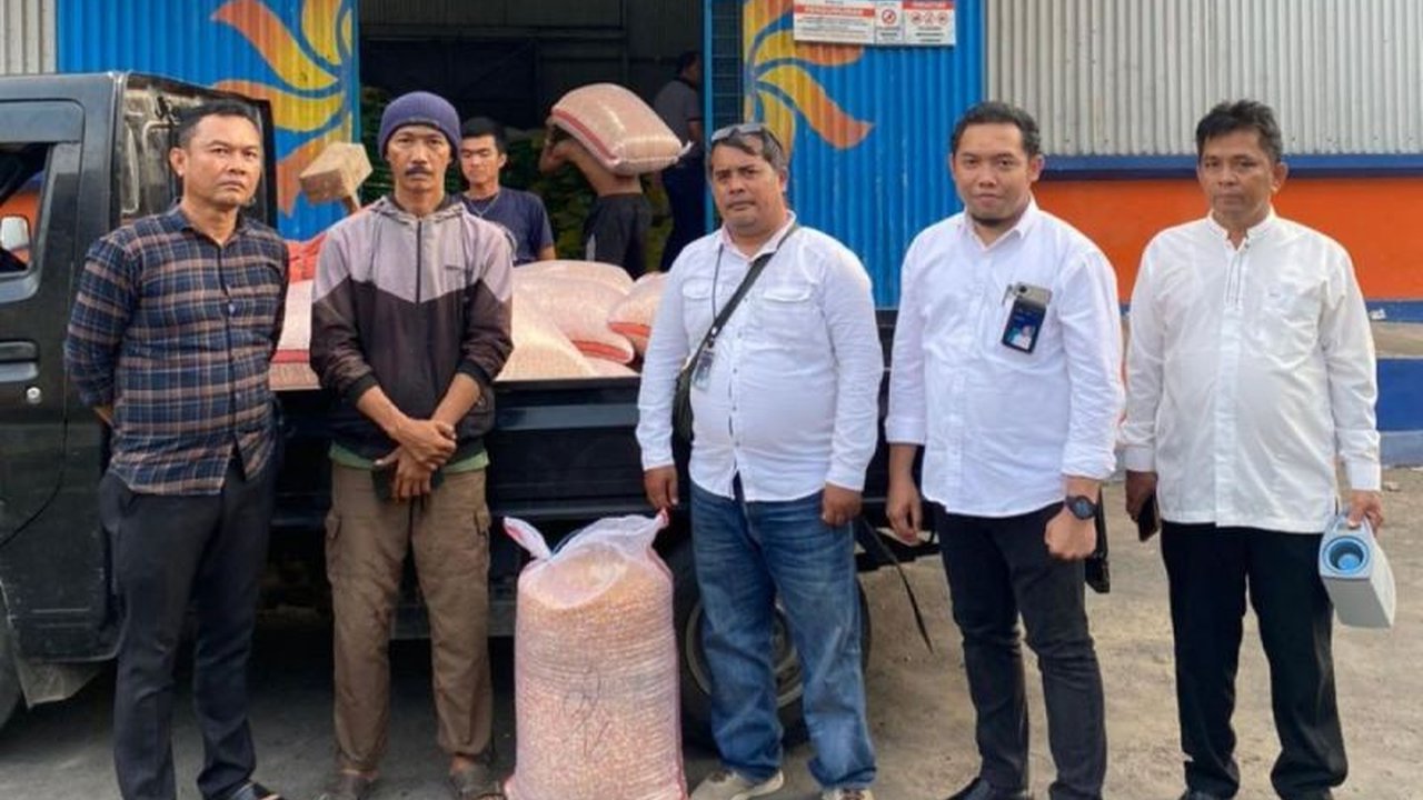 Perum Bulog Cabang Rejang Lebong berhasil melakukan penyerapan jagung petani sebanyak 39,45 ton dari tiga kabupaten, mendukung program ketahanan pangan dan stabilitasi harga.