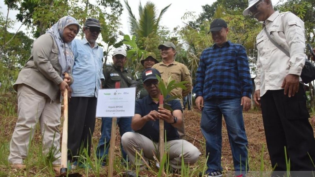 BPDAS Cimanuk-Citanduy gencar melibatkan elemen masyarakat dalam aksi tanam pohon. Upaya ini untuk menjaga kelestarian DAS, mencegah bencana, dan melestarikan pohon langka.
