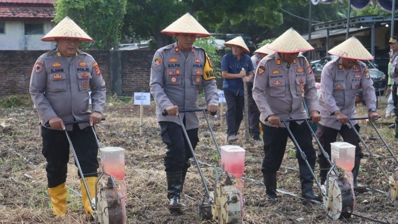 Polres Lampung Selatan serius perkuat Ketahanan Pangan dengan mengubah lahan tidur menjadi areal pertanian produktif. Inisiatif ini mendukung program pemerintah dan diharapkan menghasilkan tonan jagung.