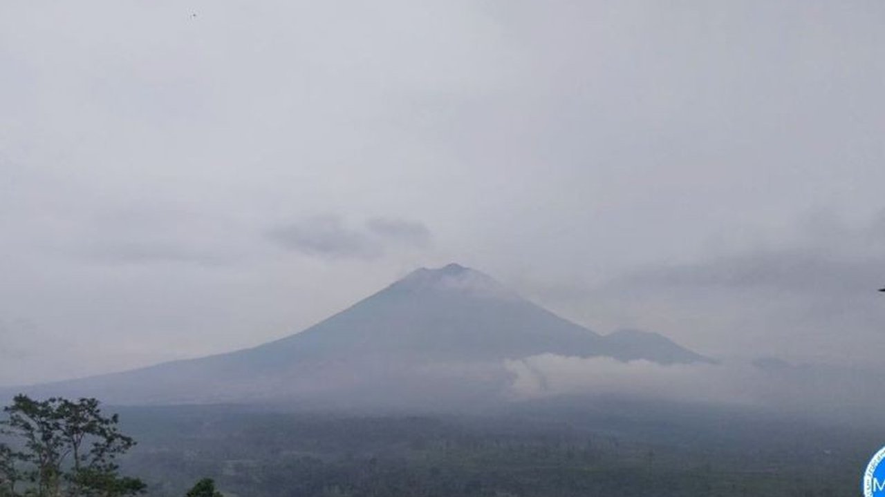 Pusat Vulkanologi dan Mitigasi Bencana Geologi (PVMBG) menegaskan **aktivitas Gunung Semeru** masih tinggi, mempertahankan status Awas (Level IV) setelah erupsi besar pada 19 November 2025.
