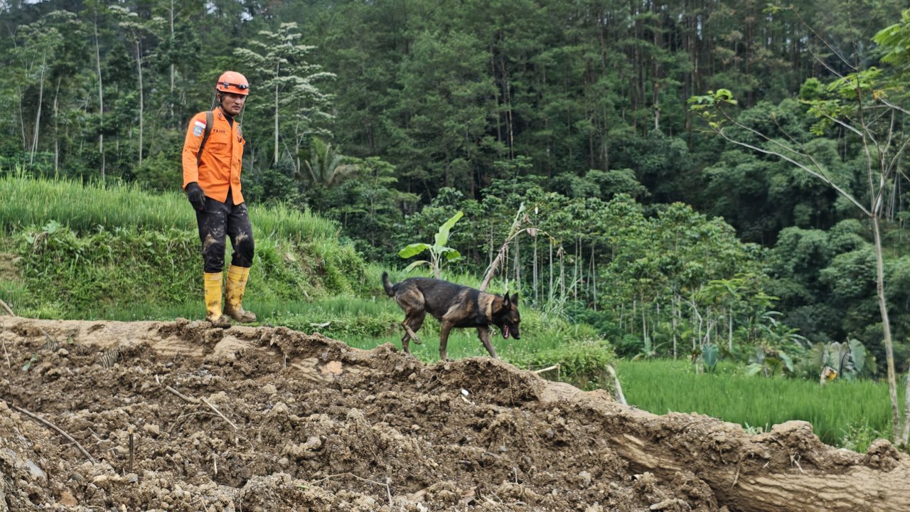 Pencarian 18 Warga Tertimbun Longsor Banjarnegara Lanjut Terus Meski Cuaca Mendung