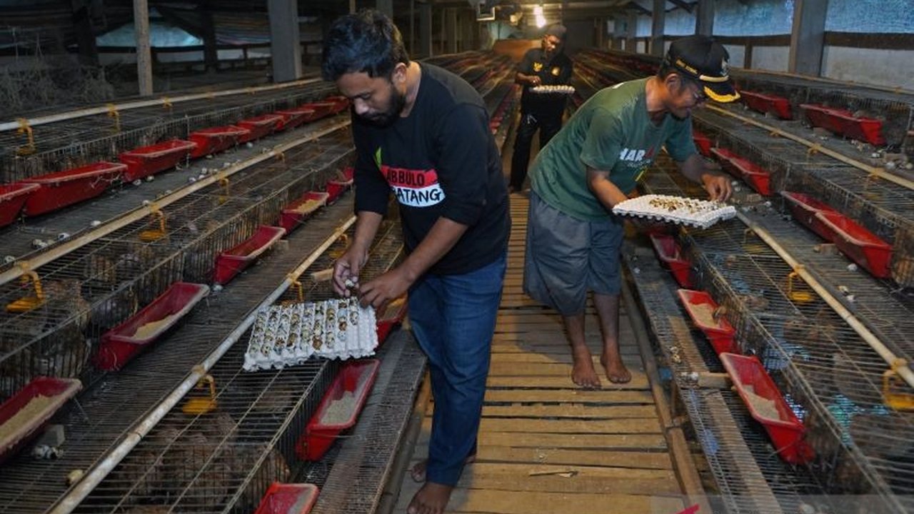 Ahli Gizi Unhas Prof Aminuddin Syam menekankan pentingnya Standar Keamanan Pangan Program MBG bagi SPPG guna mencegah keracunan makanan dan menjamin kualitas gizi.