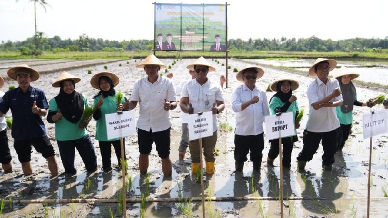 Kementerian Pertanian (Kementan) resmi meluncurkan program Kampung Peramalan OPT di Sleman, DIY, bertujuan mendeteksi dini Organisme Pengganggu Tumbuhan (OPT) dan memperkuat sektor pertanian lokal.