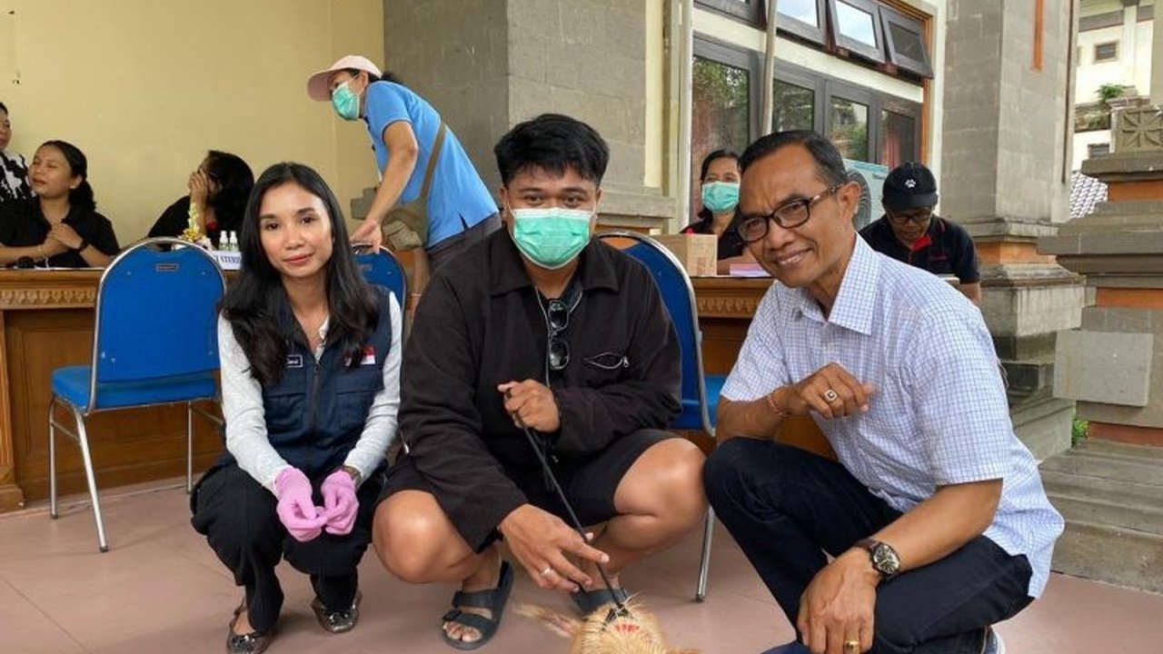 Pemerintah Kabupaten Badung sukses menggelar sterilisasi dan vaksinasi rabies gratis bagi hewan peliharaan. Inisiatif ini bertujuan menekan populasi anjing liar serta kasus gigitan rabies di Badung.