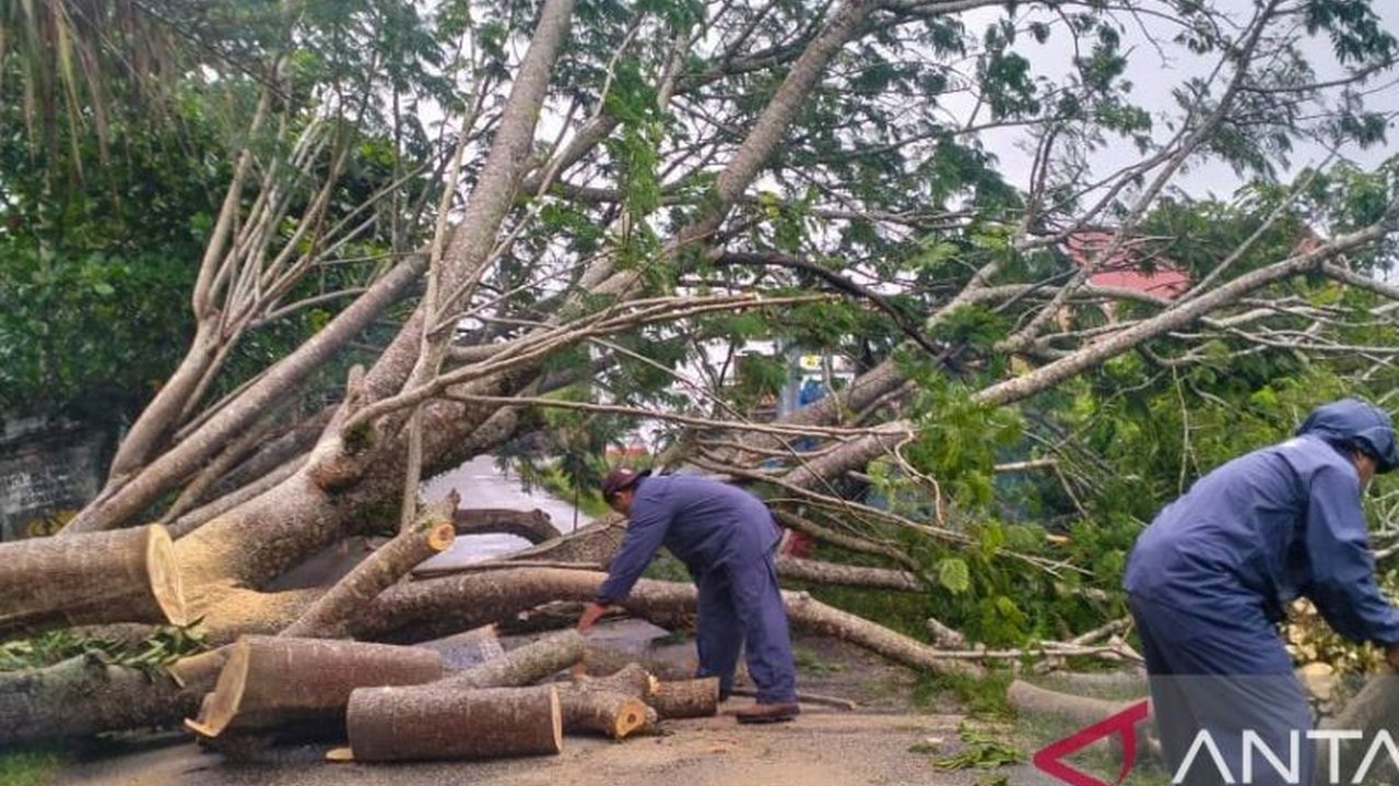 Badan Penanggulangan Bencana Daerah (BPBD) Sumatera Barat merinci dampak signifikan bencana hidrometeorologi, termasuk banjir dan longsor, yang melanda sejumlah wilayah di provinsi tersebut. Bencana hidrometeorologi ini telah menyebabkan kerusakan fasilit