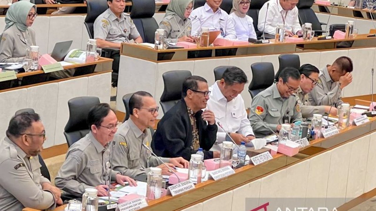 Menteri Pertanian Andi Amran Sulaiman memastikan produksi beras dan jagung nasional sangat aman dan mencukupi, sehingga Indonesia tidak perlu impor pangan.