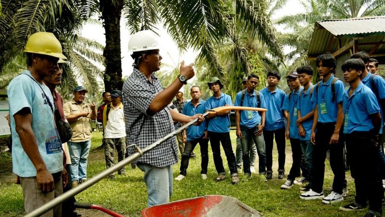 PTPN IV melalui Kebun Rejosari menjadi pusat pelatihan sawit modern bagi ratusan calon PMI, membekali mereka dengan keterampilan hulu-hilir untuk industri perkebunan global.