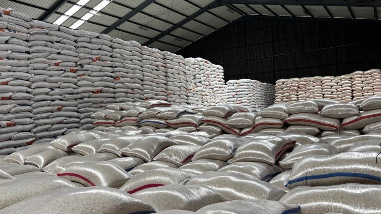 Perum Bulog Jawa Barat menegaskan stok beras yang dikuasainya mencapai 590 ribu ton, menjamin ketersediaan hingga akhir 2025. Stok Beras Bulog Jabar yang melimpah ini diharapkan menenangkan masyarakat.