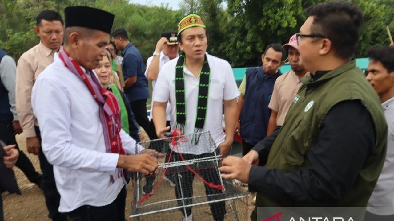 Pemerintah Kabupaten Manggarai Barat berharap Program DMPM dapat menjangkau lebih banyak desa. Inisiatif ini terbukti berhasil meningkatkan ekonomi masyarakat lokal melalui pengelolaan mangrove.