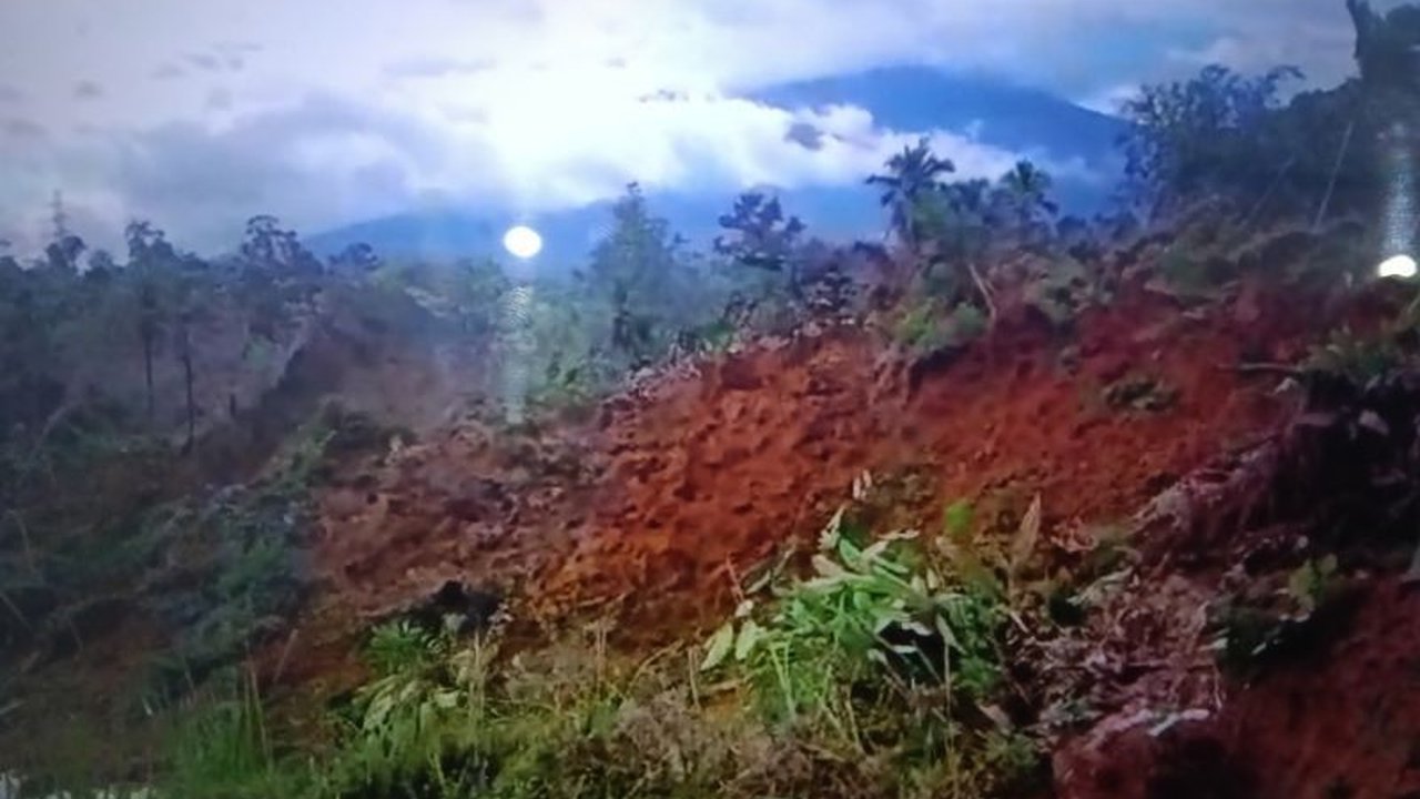 Akses jalan provinsi menuju Talu Talamau, Pasaman Barat, lumpuh total setelah diterjang longsor hebat. Bencana **jalan putus longsor Pasaman Barat** ini juga menghancurkan enam rumah dan memaksa evakuasi warga.