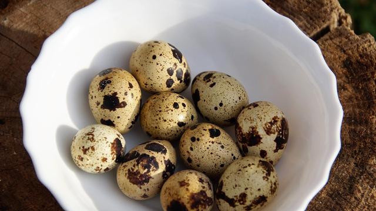 Tips mengupas telur puyuh tetap mulus paling awal, siapkan telurnya dalam mangkuk (pixabay)