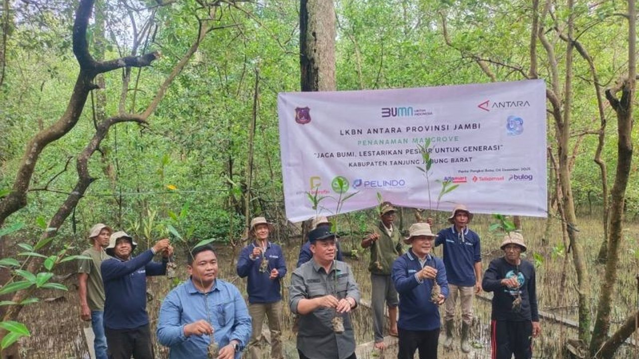 Perum LKBN Antara Jambi bersama Pemerintah Kabupaten Tanjung Jabung Barat (Tanjabbar) sukses menggelar penanaman mangrove di Pantai Pangkal Babu, sebuah langkah nyata untuk menjaga kelestarian pesisir dan mencegah abrasi di wilayah tersebut.