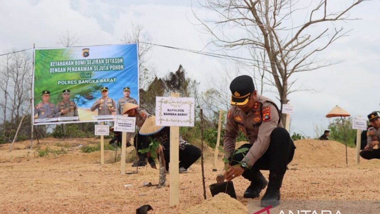 Polres Bangka Barat mengambil langkah konkret dalam upaya **penghijauan lahan kritis** bekas tambang di Mentok dengan menanam 200 bibit jambu mete, sekaligus mendukung ketahanan pangan lokal.