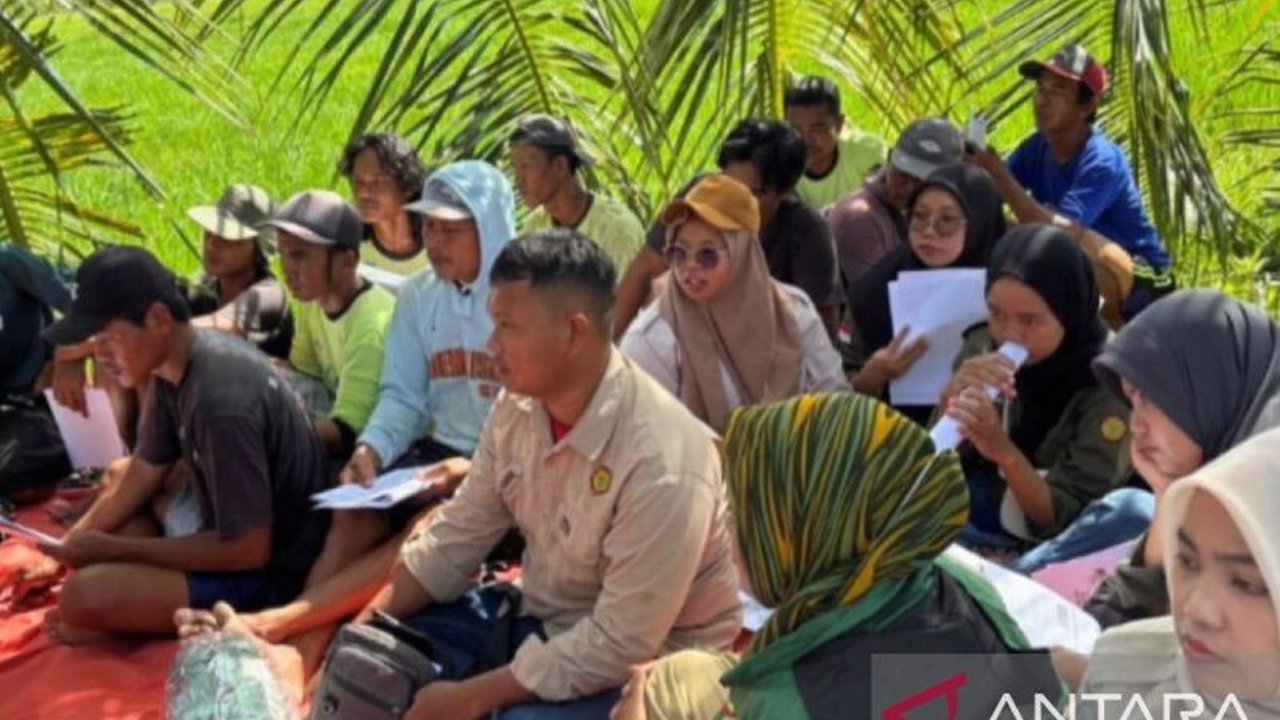 Pemerintah Kabupaten Maluku Tengah serius menggenjot produktivitas pertanian dengan memberikan edukasi ilmu tanah dan teknologi PUTS kepada petani. Simak bagaimana upaya ini mengubah kebiasaan pemupukan!