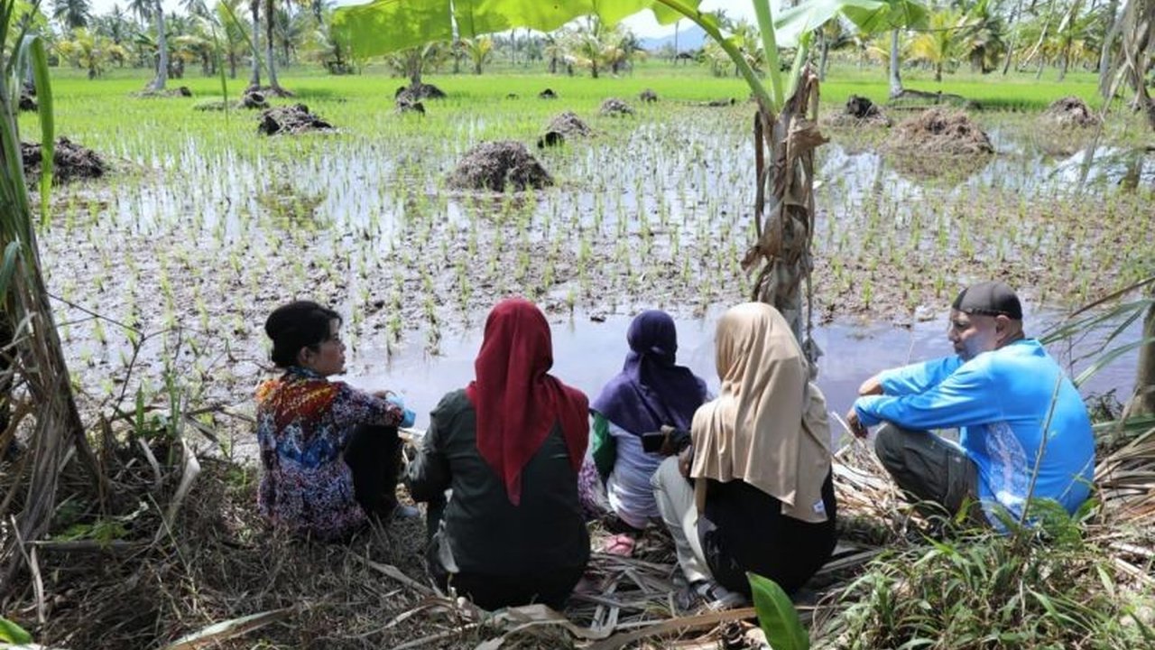 Pemerintah Kota Singkawang gencar membangun Jaringan Irigasi Air Tanah (JIAT) untuk menghidupkan kembali lahan pertanian yang terdampak intrusi air laut, demi ketahanan pangan daerah.