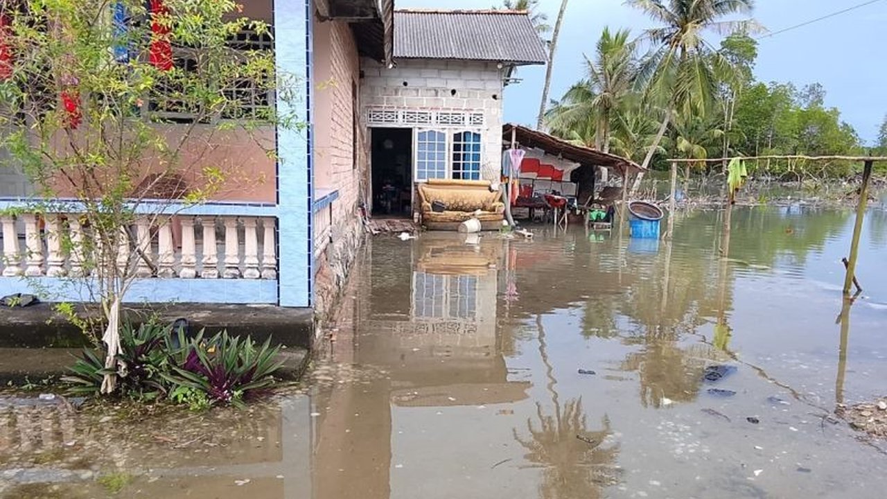 BPBD Kabupaten Bangka mencatat ratusan rumah warga terdampak Banjir Rob Bangka di Sungailiat dan sekitarnya, dengan air pasang mencapai halaman rumah. Warga diimbau waspada.