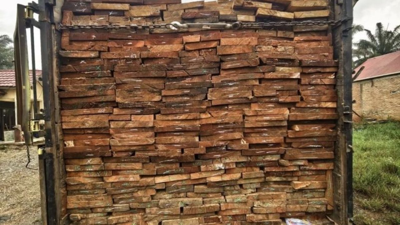 Direktorat Reserse Kriminal Khusus Polda Riau berhasil menangkap dua tersangka perambah hutan yang kedapatan membawa 10 kubik kayu olahan ilegal, mengungkap jaringan kejahatan lingkungan di Rokan Hulu.