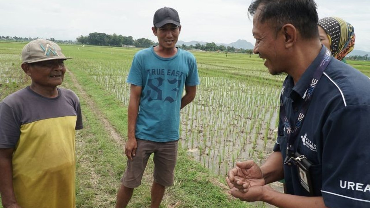 Serapan Pupuk Subsidi Tulungagung telah mencapai 90 persen hingga akhir 2025, meskipun pupuk organik menjadi yang paling rendah, karena petani mandiri memproduksi sendiri.
