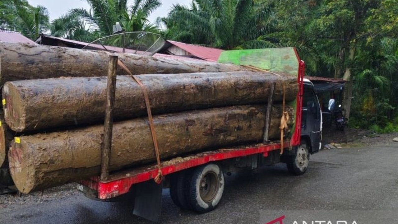 LSM GeRAK Aceh Barat mendesak aparat penegak hukum mengusut tuntas aktivitas pengiriman kayu gelondongan secara terbuka di Aceh Barat pasca banjir bandang, diduga kuat terkait praktik pengiriman kayu ilegal.